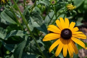 Grounds at Heritage Treatment Foundation, a drug and alcohol rehab near Montreal